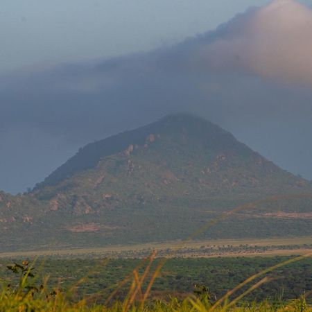 Voi Safari Lodge Luaran gambar