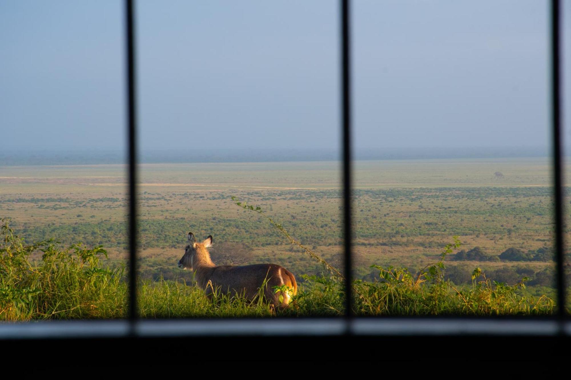 Voi Safari Lodge Luaran gambar