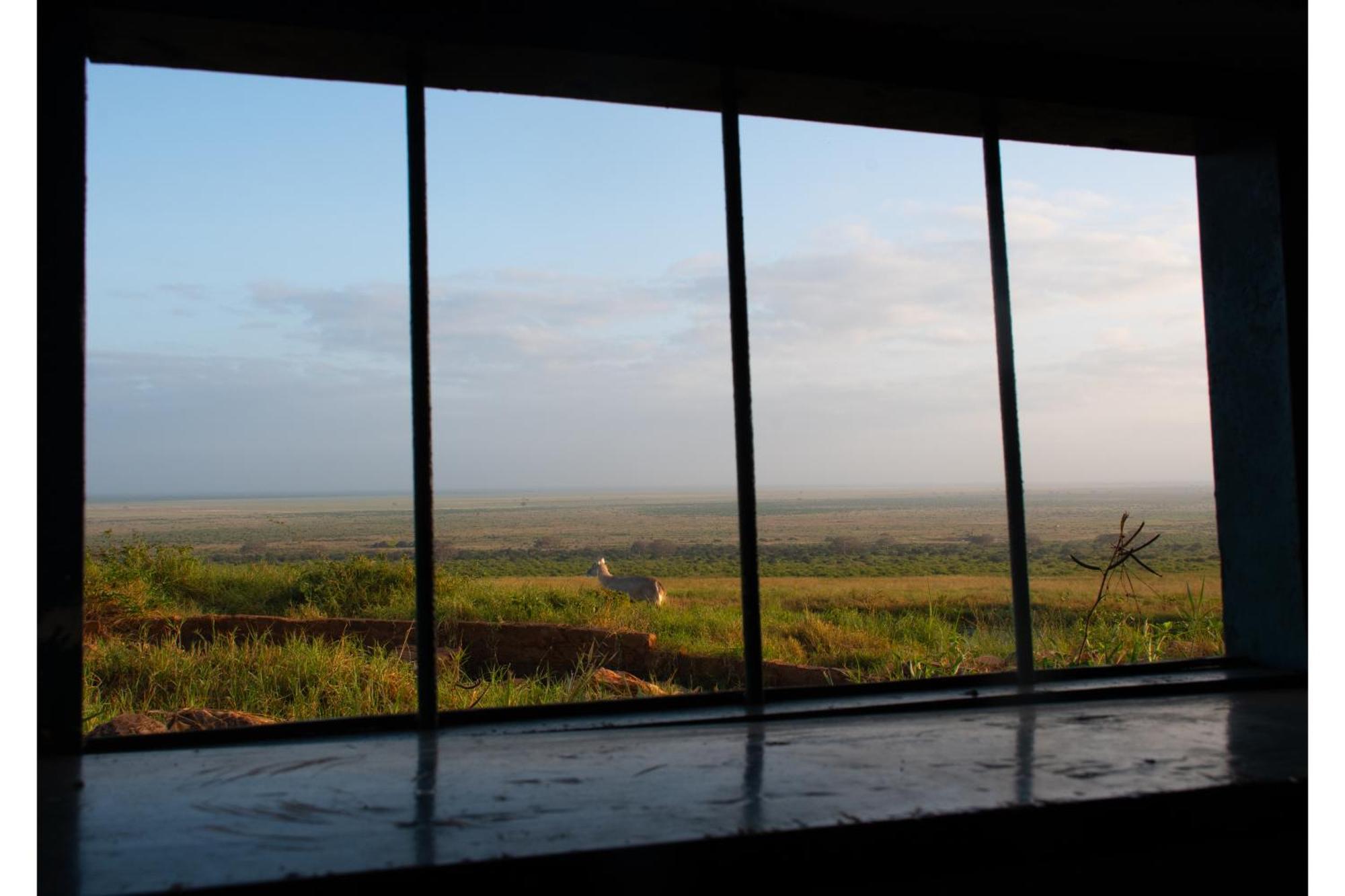 Voi Safari Lodge Luaran gambar